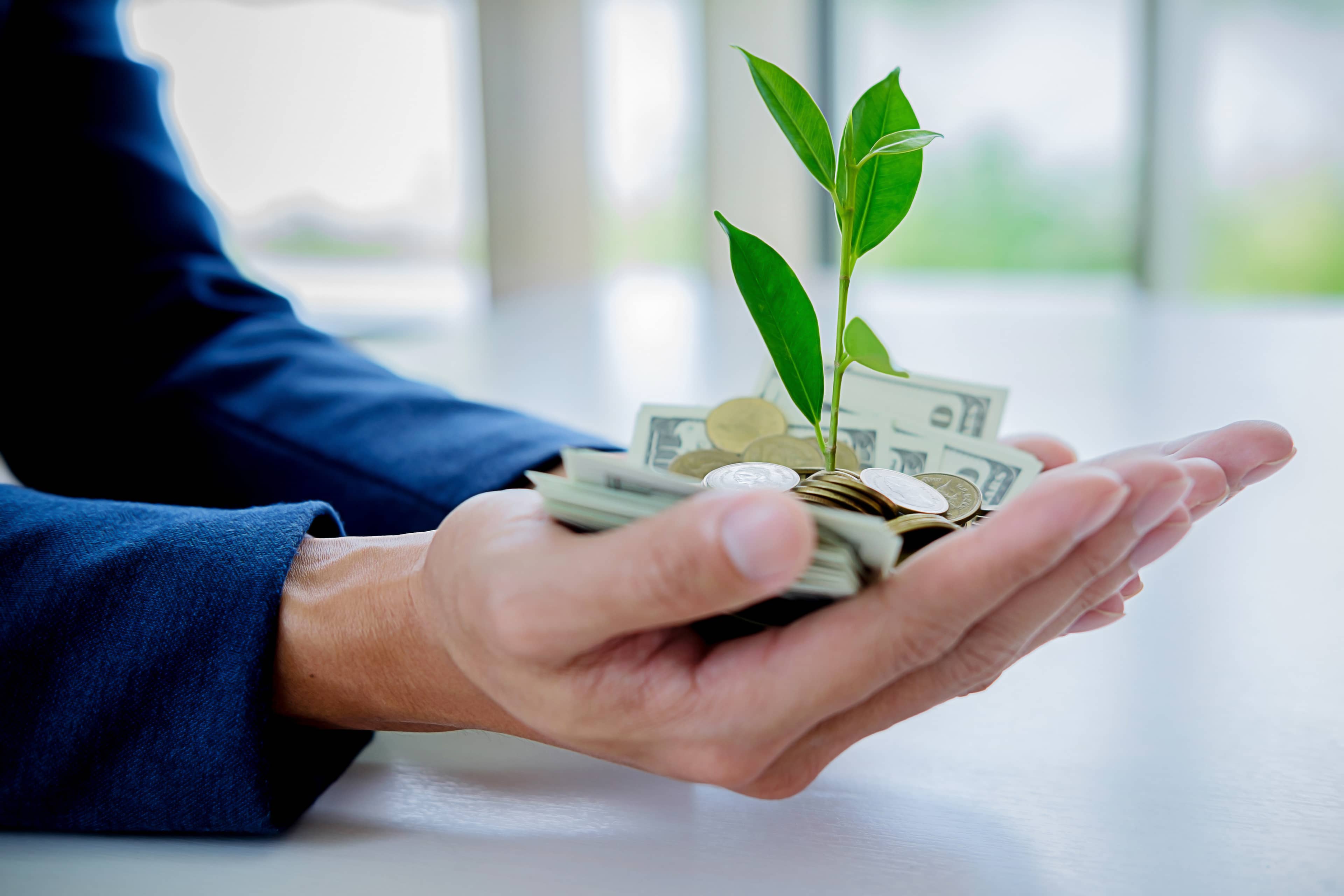 manos de empresario sosteniendo árboles en crecimiento